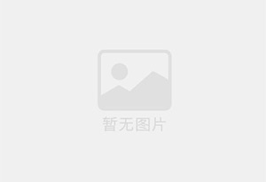 冷冻鸡爪